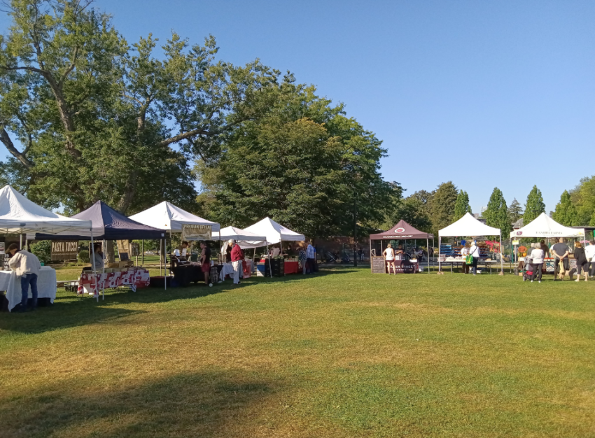 Farmers' market stalls on a sunny day with green grass and a large tree in the background