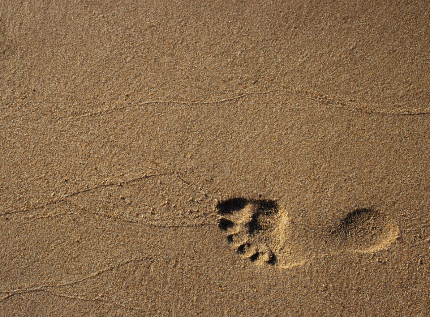 A footprint in a patch of sand