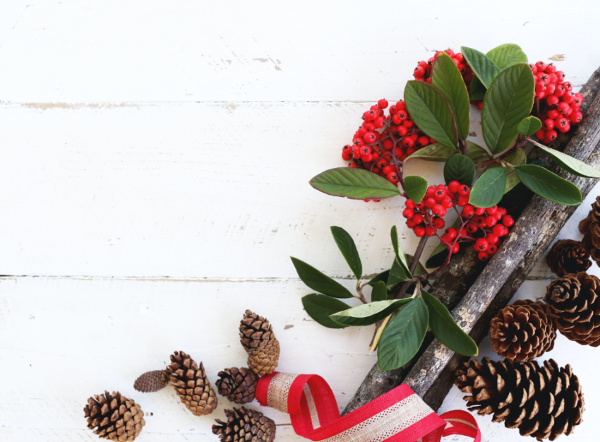Festive branches, pine cones, red ribbon, green leaves and red berries are arranged in the corner of a white surface.