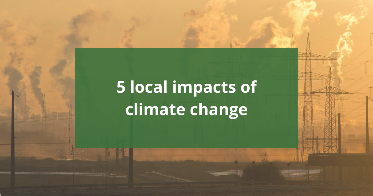 5 local impacts of climate change