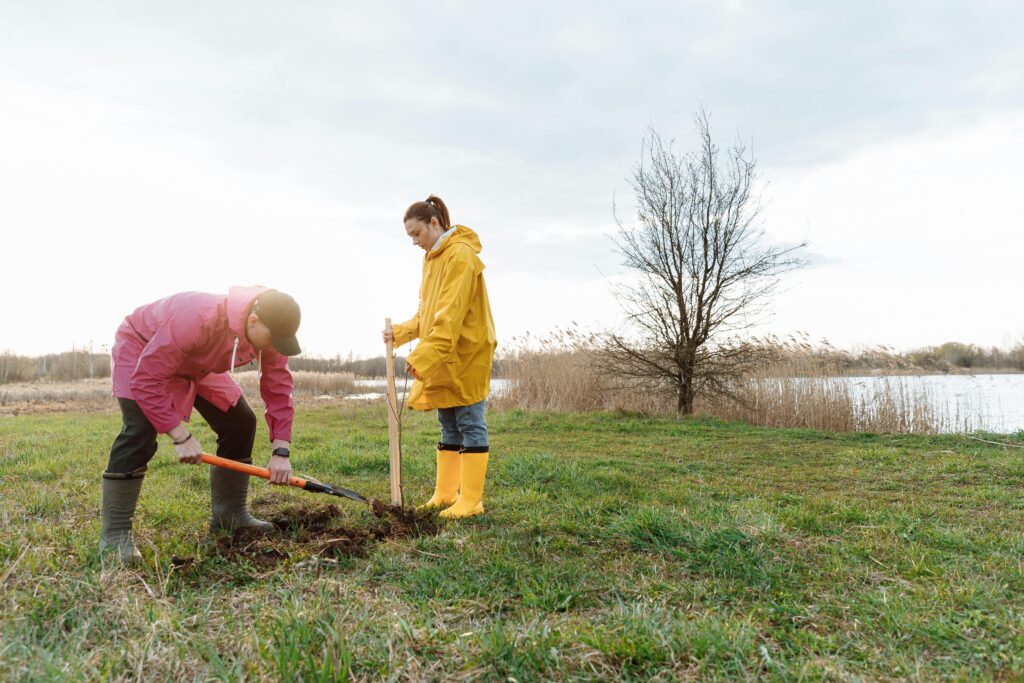 Two women in bright raincoats plant a young tree next to a river.