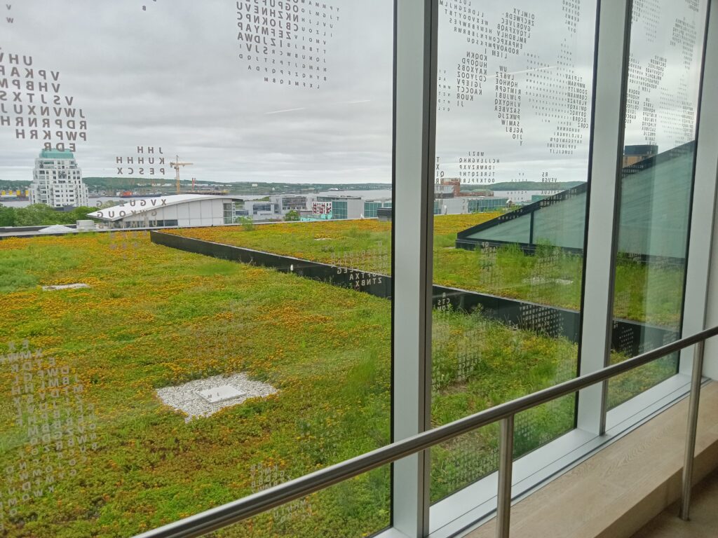 The view through a window out onto a green roof.