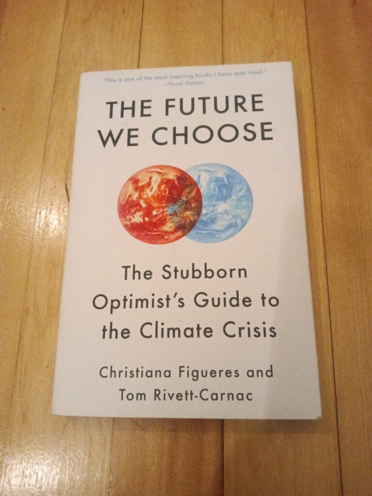 The book The Future We Choose by Christiana Figueres and Tom Rivett-Carnac sitting on a wood floor.