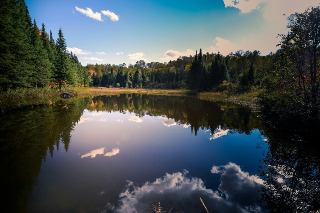 A calm lake reflecting the clouds, with trees in the background.