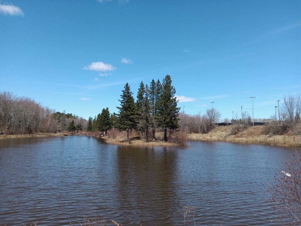 A lake with an island with trees in the middle, with a blue sky in the background