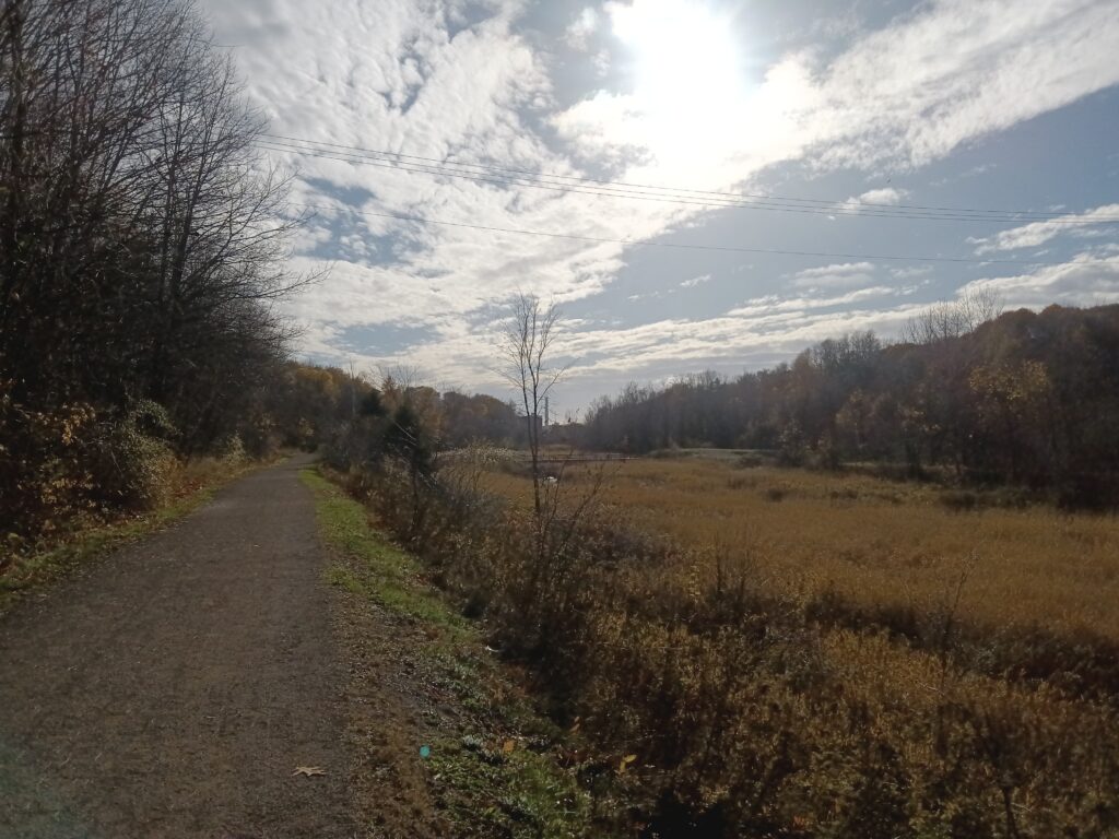 A trail with brushy plants and a few trees off to the right. The sun is shining behind clouds.