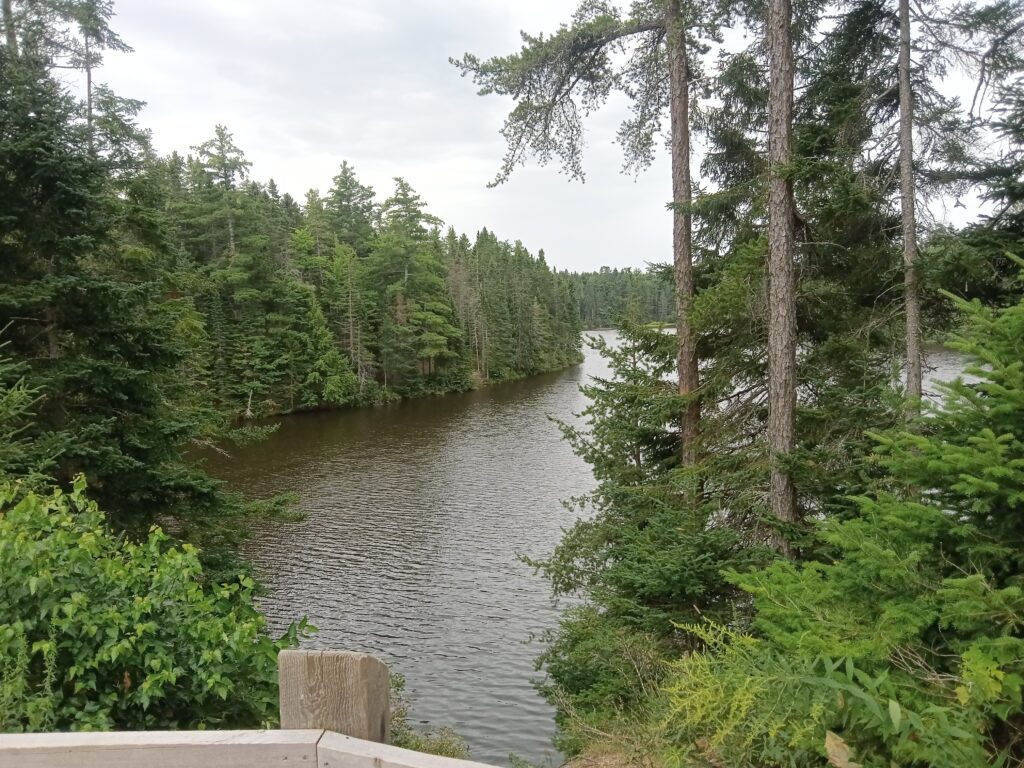 A lookout towards a reservoir surrounded by trees